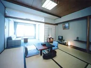 Mizuno - Image 2