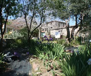 Arcadia Guesthouse - Image 5