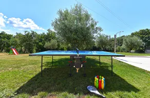 Villa Divsici 2105 - Image 3