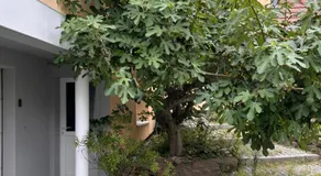 chambre privative au rez de jardin dans villa - Image 3