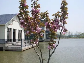 Hefengxiyu Resort - Image 4