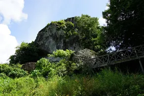 Ellys Home - Image 5