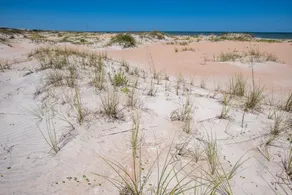 Sunsetter - Image 5
