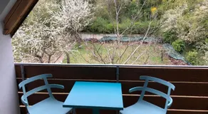 Blaues Zimmer -keine Küche- mit grossem Balkon, Bad ist ein Traum, nur 50 Schritte zum Radweg am Main - Image 5