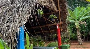 FREEDOM HOUSE, Auroville - A Backpackers Hostel - Image 5