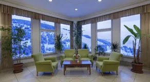 Palan Ski & Convention Resort Hotel - Image 3