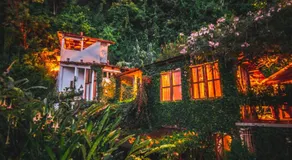 Lush Atitlán - Image 4