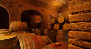 Clos Figueras - Image 4