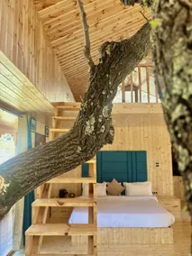 Sattva Pine Resort - Image 5