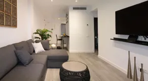 Spacious New and Renovated Apartment in Plaza Espana with Stunning Terrace-Garden and Exquisite Deco - Image 2