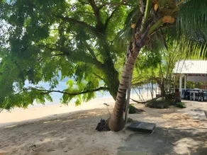 Coral Reef Holidays - Image 5