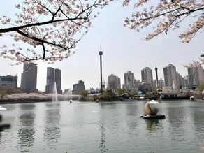 F2DoDo's Lotte World # Olympic Park  # Lotte Tower - Image 5