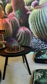 Luxury Magic Cactus Garden PARIS ORLY - Image 5