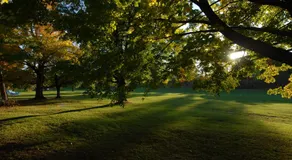 Kings Inn Orillia - Image 5