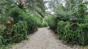Gopeng Riverstones Rainforest Retreat - Image 3