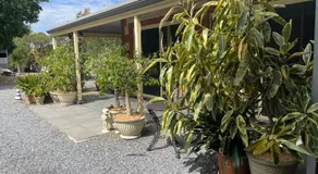 Hilltop Haven Adelaide Hills Pet Friendly - Image 2