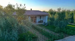 I SECOLARI - Image 4
