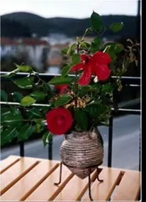 Ionion Hotel - Image 3