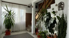 Casa Sofia Dorna Candrenilor - Image 4