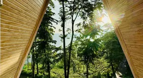 The Tea Tribe Stay - Image 3