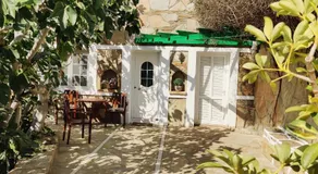 The Fig Tree - Deluxe Studio - Image 3