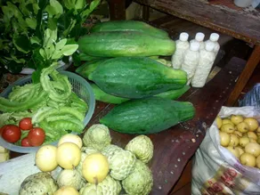 Shanti Farm - Image 4