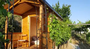 Valentina Guest House at Pintar Wine Estate - Image 4