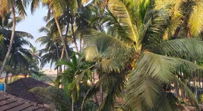 MAHASATHI HOMESTAY Murdeshwar - Image 4