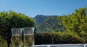 Tiny de l'Aigle - Image 2