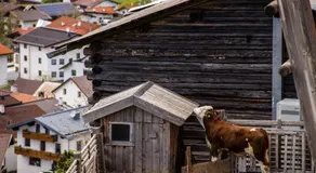 Buachbinder Hof - Image 5