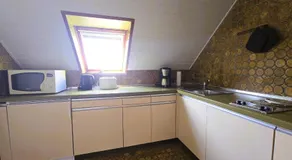 Silbermöwe - Image 3