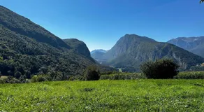 Al Veciarin - Image 5