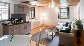HALLSTATT LAKEVIEW Apartments - Image 3