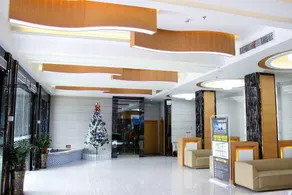 Linghang Boutique Hotel (Shenzhen Bao'an International Airport Terminal 3) - Image 2