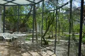 Grapes Garden Resort Hunza - Image 4