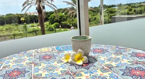 Sunset Breeze - Bright & Cozy Apartment in Tamarin - Image 5