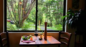 Rapaura Watergardens - Image 2