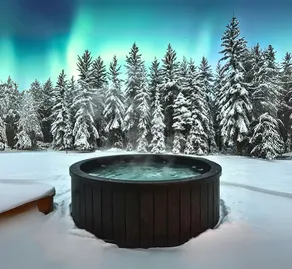SKOG Aurora Glass Igloos - Image 3
