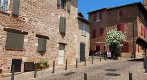 Le petit marché de Sainte Cécile- Centre historique Albi - Image 3