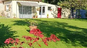 Le Petit Accent - Image 5