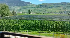 Agritur Lavanda - Image 5