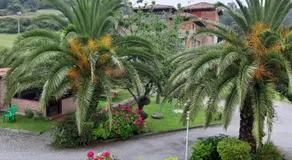 Pensión Toranda - Image 4