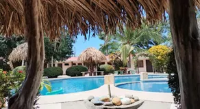 Bioluminiscencia Hostel Tours - South - Image 3