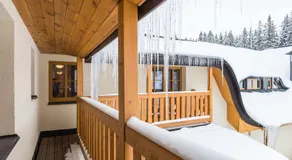 EA Horský Hotel Hájenka - Image 3