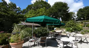 Hotel Hut Walden - Image 5