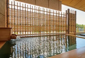 Arima Onsen Takayamaso Hanano - Image 4