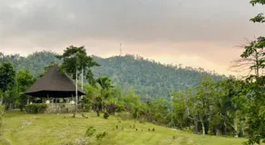 Sheridan Organic Farm and Resort - Image 5