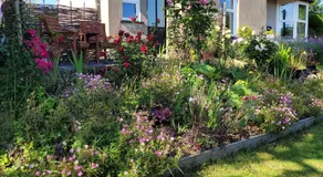 The Manse featuring the Daisy Camrose - Image 3
