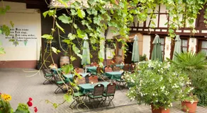 Weingut und Gästehaus Vongerichten - Image 3