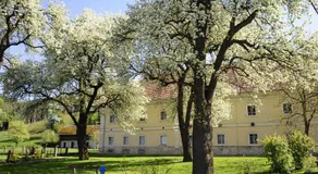 24/7 Zimmer Asten - Image 3